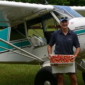 Fly-in strawberry picking